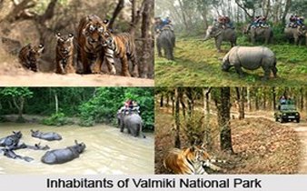 Touriest place in bihar