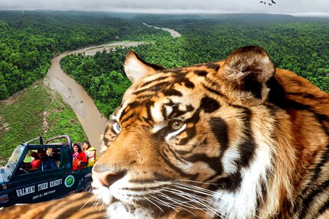 PATNA TO WEST CHAMPARAN TOUR 